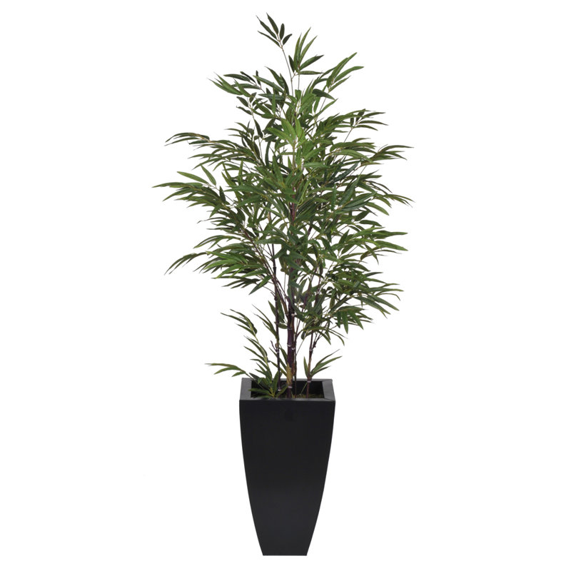 Artificial Black Bamboo Tree in Planter & Reviews AllModern